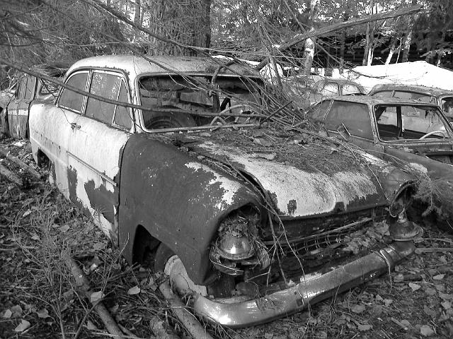Autofriedhof - 092.JPG - Historischer Autofriedhof,    Gürbetal (CH)